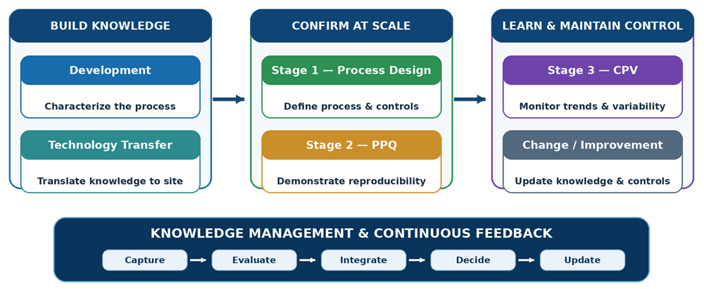 Process validation lifecycle knowledge flow from development and technology transfer through Process Design, PPQ, Continued Process Verification, and continual improvement