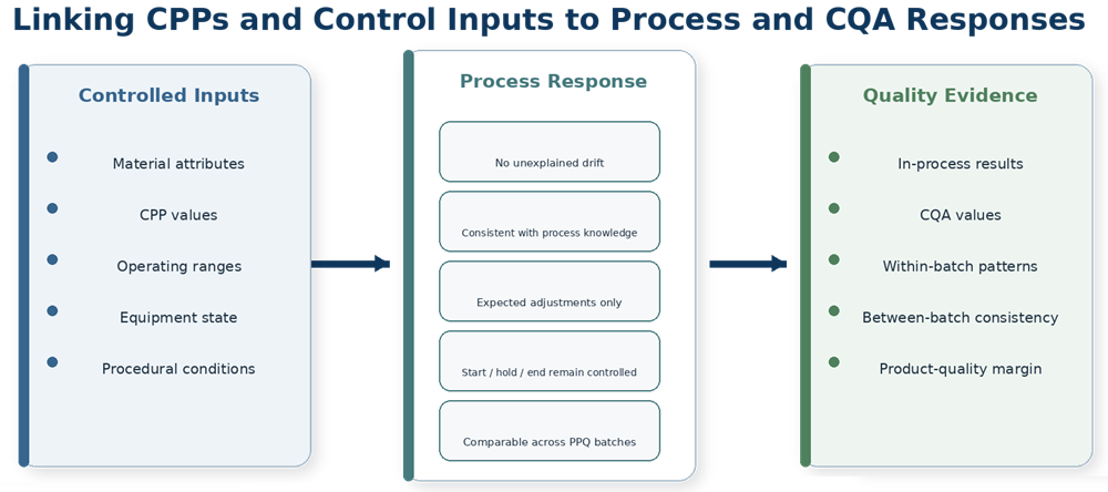 PPQ evidence linkage between material attributes, Critical Process Parameters, operating ranges, process responses, in-process controls, and Critical Quality Attributes