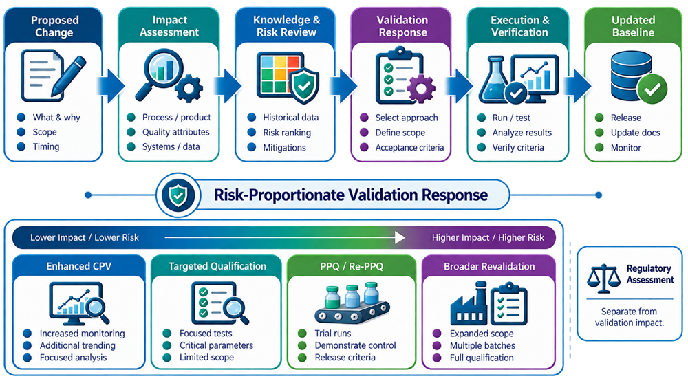 Risk-proportionate validation response to process change showing initiation, impact assessment, risk evaluation, verification planning, execution, monitoring, and lifecycle closure.