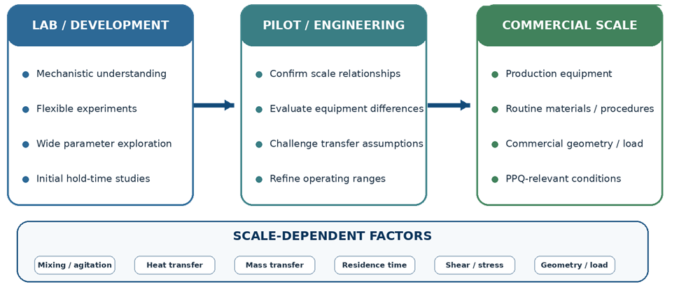 Pharmaceutical process scale-up model showing development, pilot, and commercial scales and key scale-dependent process factors