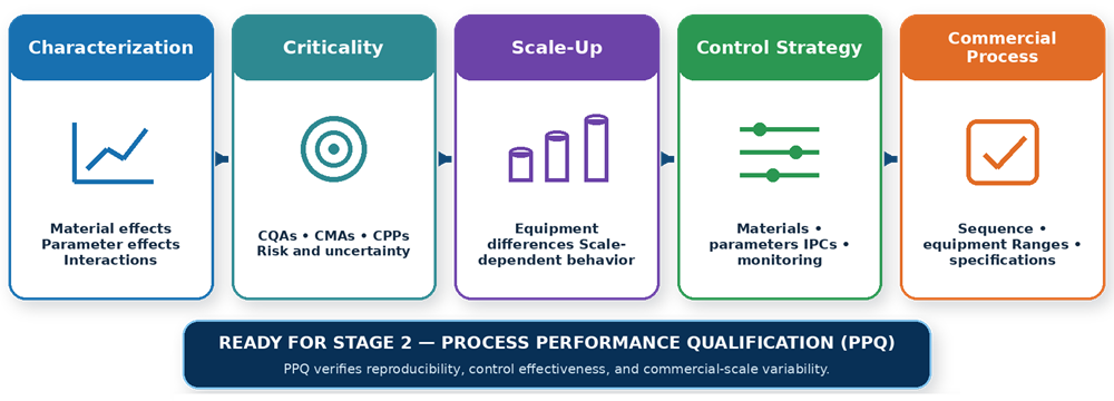 Stage 1 process design flow from characterization and risk assessment through scale-up and control strategy to the defined commercial process and PPQ