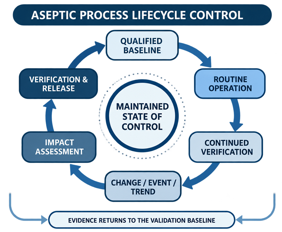 Aseptic-process lifecycle-control loop connecting the qualified baseline, routine operation, continued verification, changes and trends, impact assessment, verification, and release.