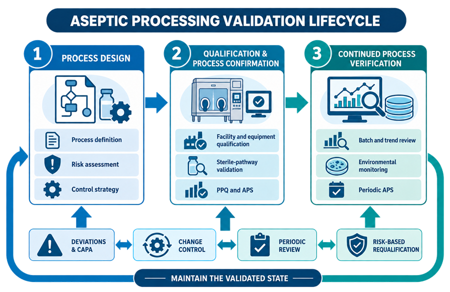 Aseptic processing validation lifecycle showing process design, qualification and process confirmation, continued process verification, deviations and CAPA, change control, periodic review, and risk-based requalification.