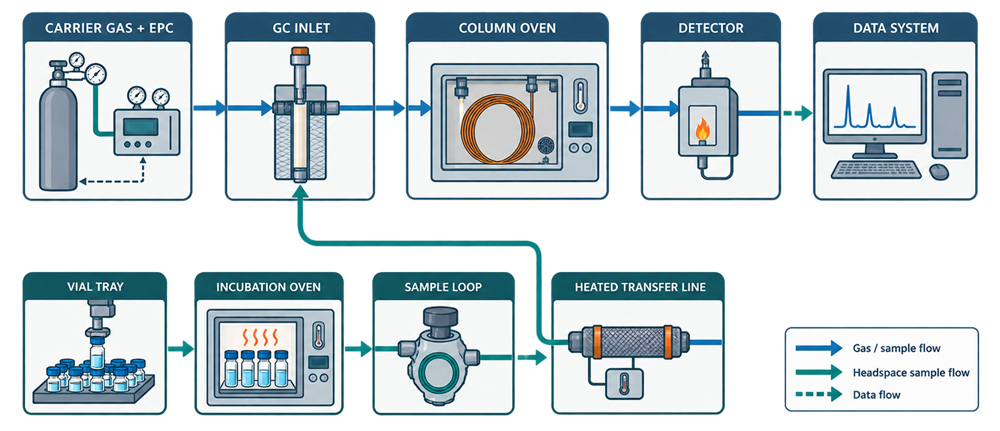 Gas chromatography and static headspace system architecture showing carrier gas, electronic pressure control, GC inlet, column oven, detector, data system, vial tray, incubation oven, sample loop, and heated transfer line.