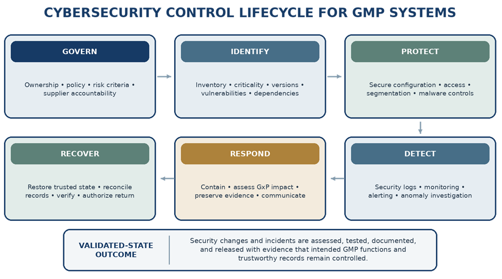 GMP computerized-system cybersecurity lifecycle showing Govern, Identify, Protect, Detect, Respond, and Recover functions connected to maintenance of the validated state.