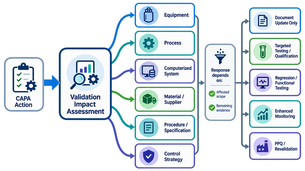 CAPA validation-impact decision showing assessment of changes to equipment, processes, computerized systems, materials, procedures, and controls and selection of appropriate qualification or revalidation evidence.