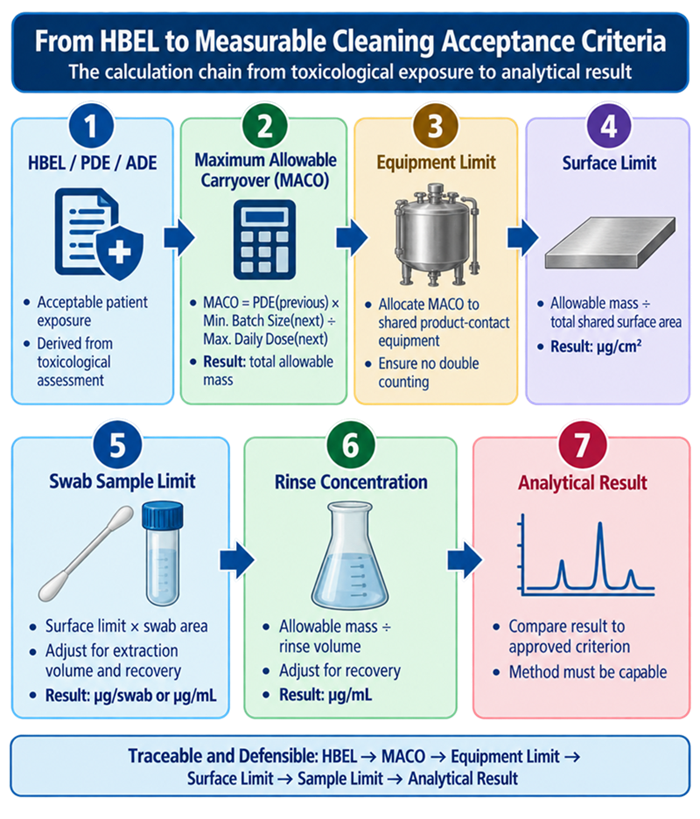 Cleaning validation acceptance criteria hierarchy showing HBEL or PDE, MACO, equipment allocation, surface residue limit, swab or rinse criterion, analytical measurement, and final cleaning decision.