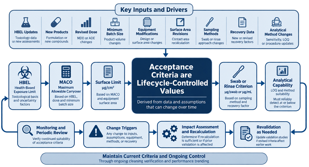 Cleaning validation acceptance-criteria lifecycle showing HBEL and MACO inputs, limit calculation, validation execution, routine monitoring, change triggers, recalculation, analytical reassessment, and revalidation decision.