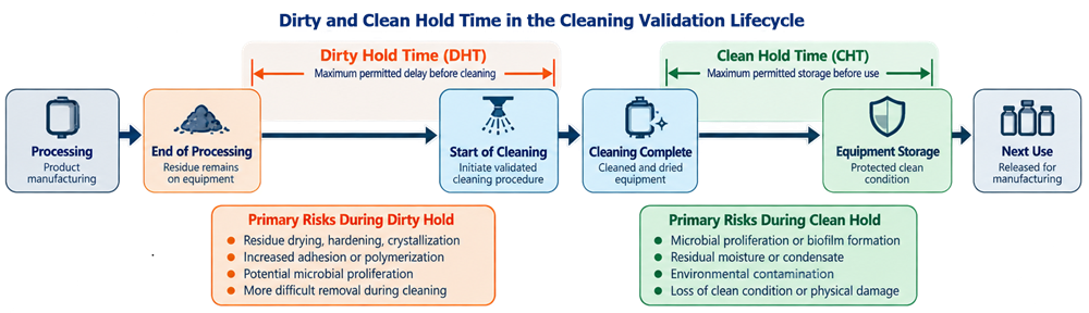 Cleaning validation timeline showing dirty hold time from completion of processing to initiation of cleaning and clean hold time from completed cleaning to subsequent equipment use.